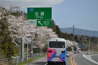 奥琵琶湖 海津大崎 お花見サイクリング