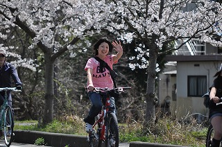 奥琵琶湖 海津大崎 お花見サイクリング