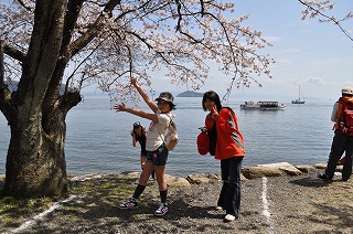 奥琵琶湖 海津大崎 お花見サイクリング