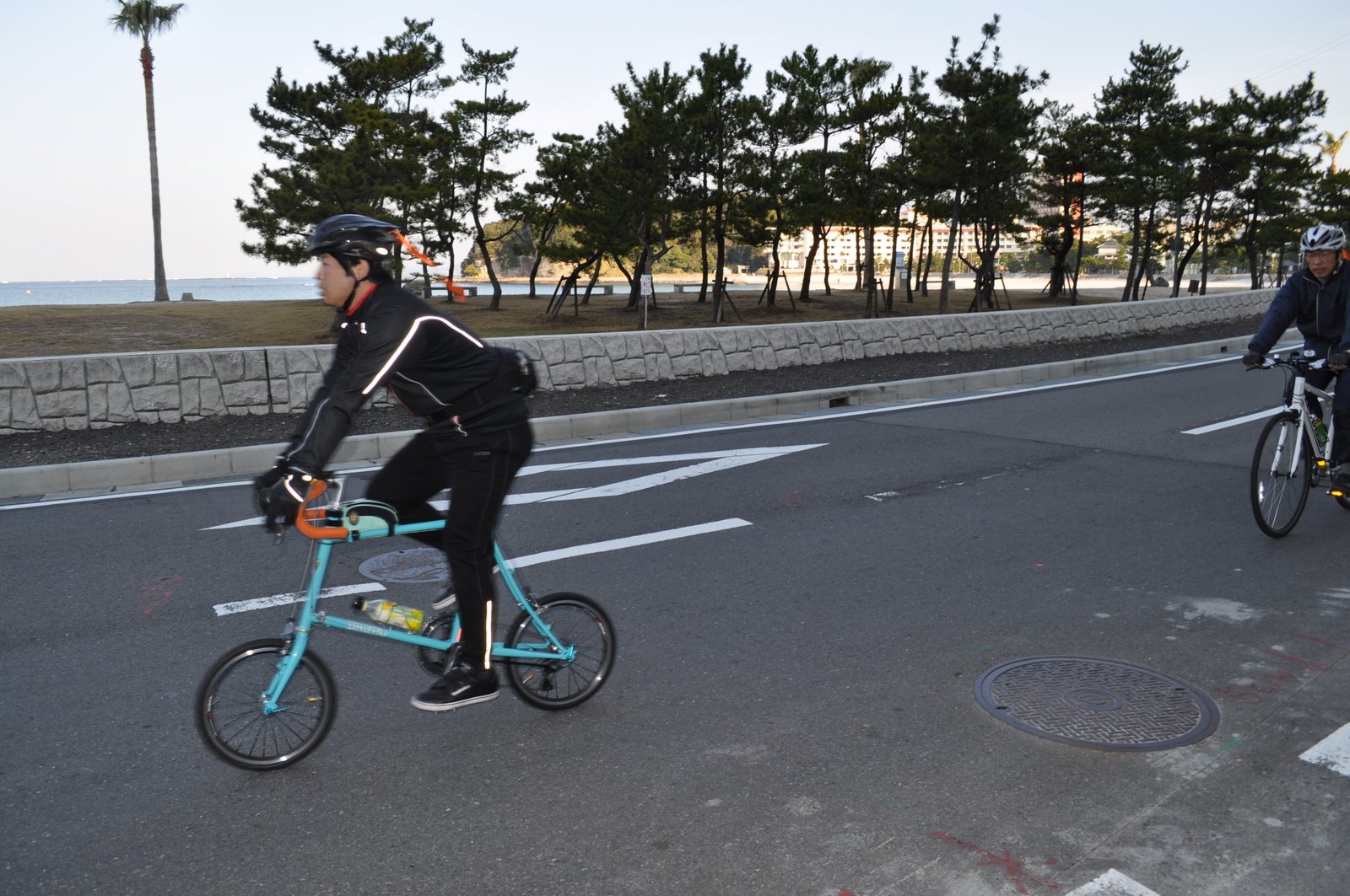 白浜サイクリング