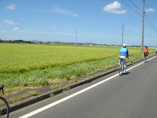 蒜山高原大山山麓パノラマサイクリング