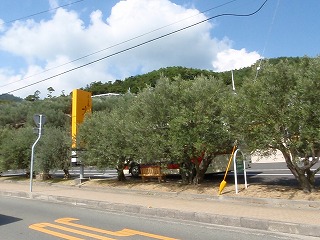 小豆島一周サイクリング下見