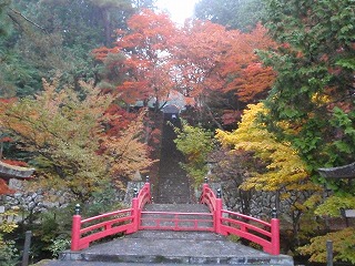 飛騨古川、高山、郡上八幡ぐるっとサイクリング