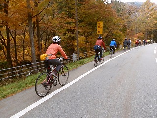 飛騨古川、高山、郡上八幡ぐるっとサイクリング