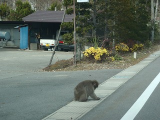 信州安曇野サイクリングの下見